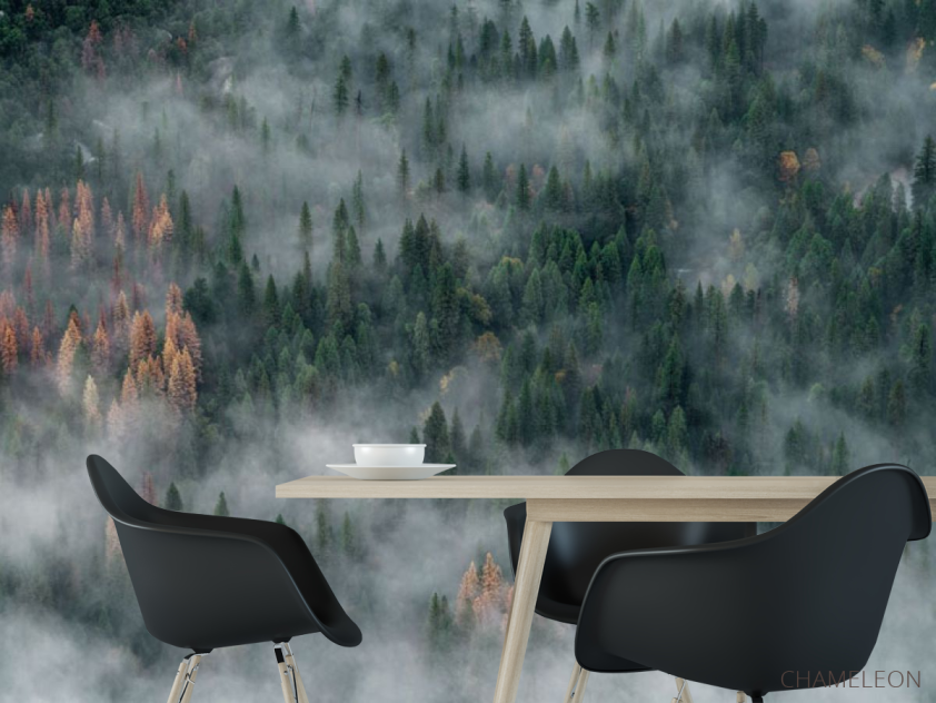 Фотошпалери туманні сосни - 1