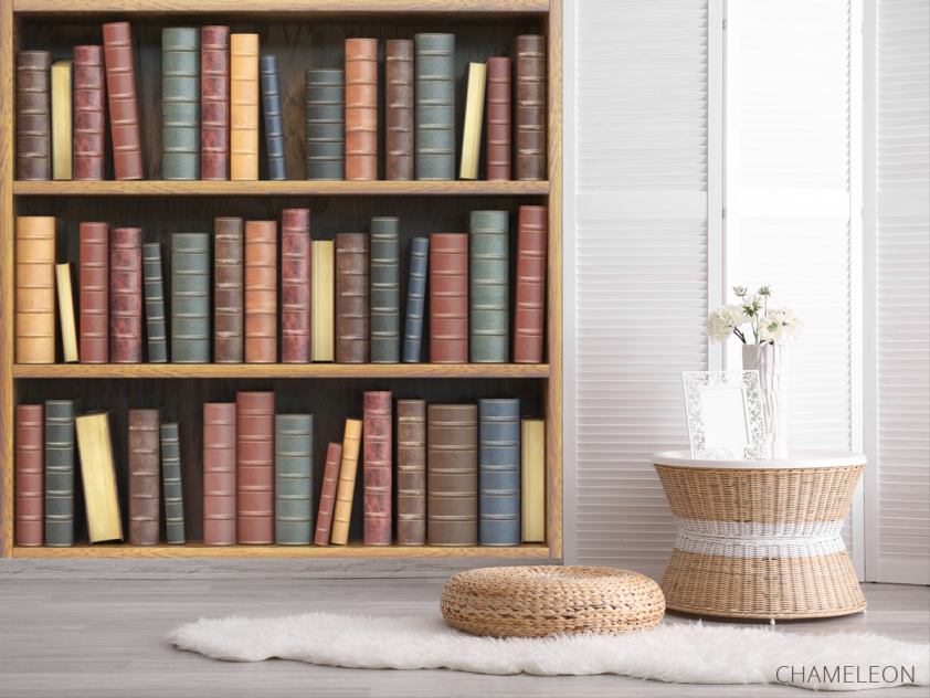 Фотошпалери Книжкові полиці - 2