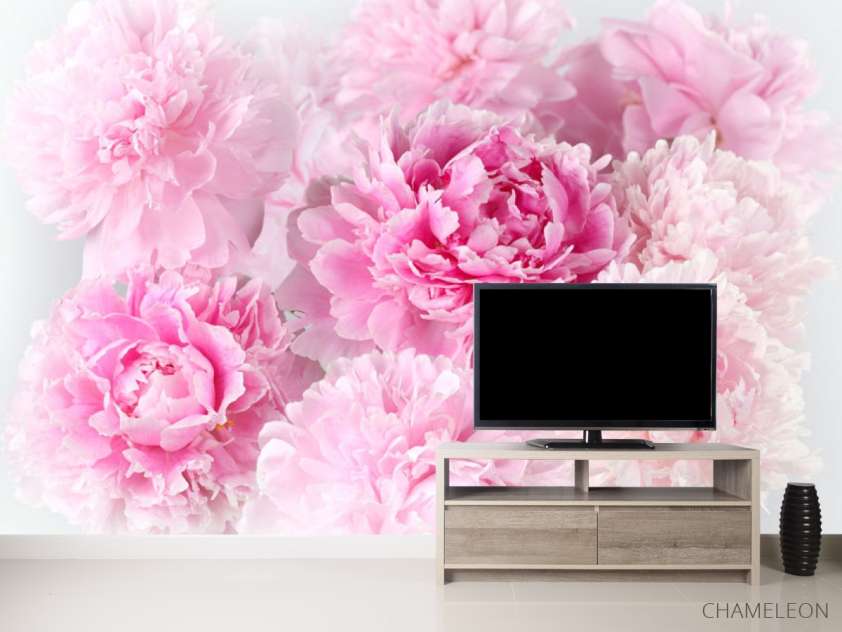 Фотообои Розовые пионы - 2