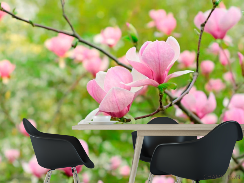 Фотошпалери Рожевий імбир - 1