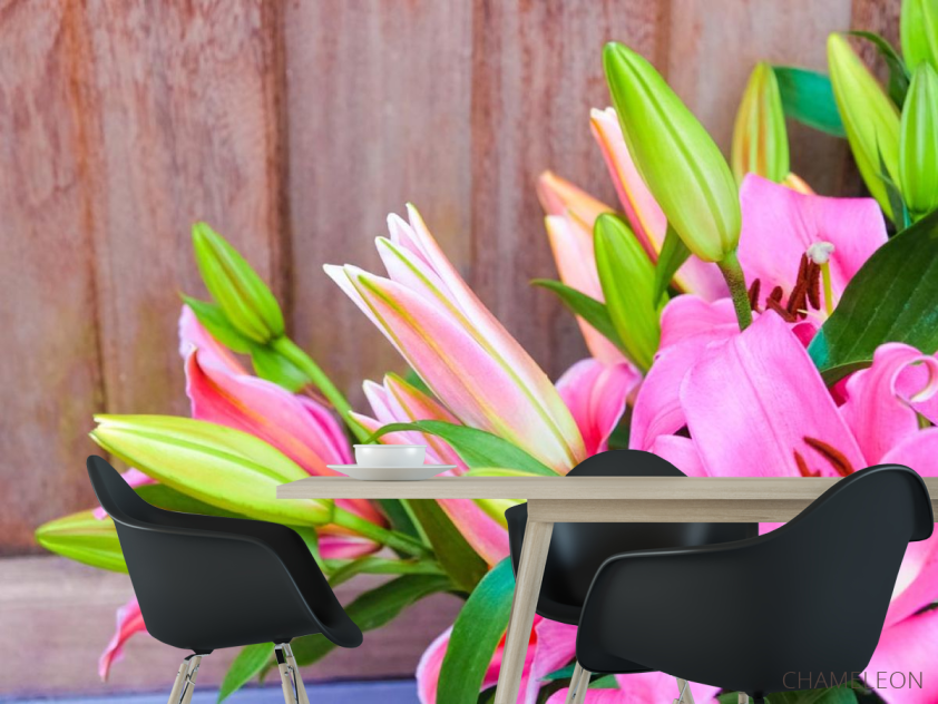 Фотошпалери рожеві лілії - 1