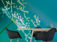 Фотошпалери гілок-волоть - 1