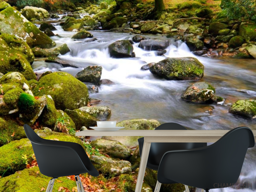 Фотошпалери Камені, мох - 1