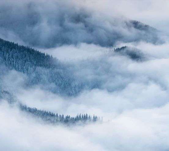 Фотошпалери Туманні гори і ялини Фотошпалери Туманні гори і ялини 33118