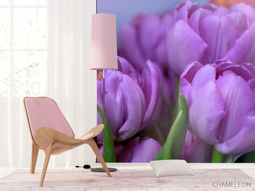 Фотошпалери фіолетовий тюльпан - 4