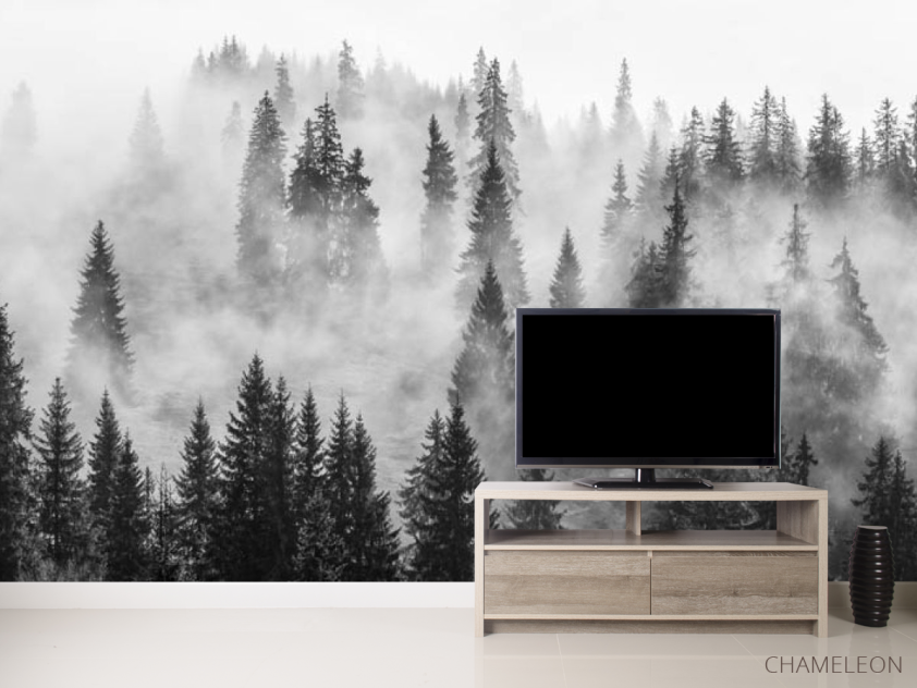 Фотообои Туманные ели - 2