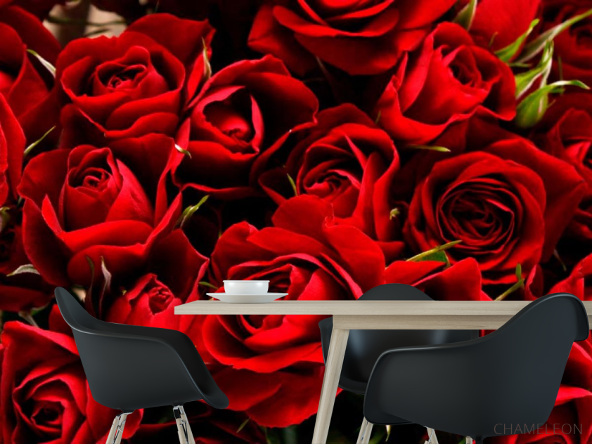 Фотошпалери Червоні троянди - 1