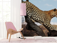 Фотошпалери Полює гепард - 4