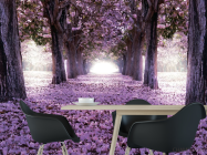 Фотошпалери Квітучі дерева - 1