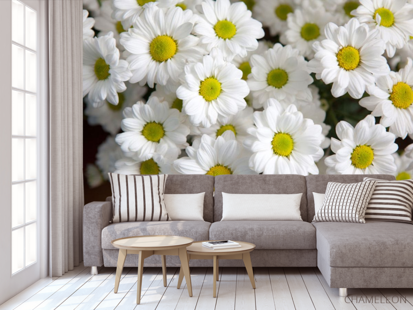 Фотообои Ромашки белые - 3