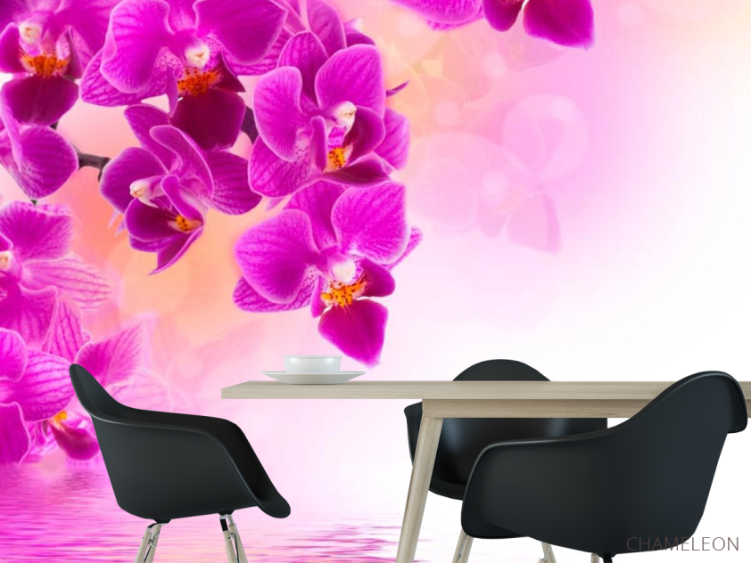 Фотообои Малиновые цветы над водой - 1