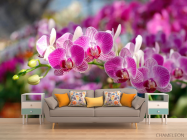 Фотообои Розовые орхидеи цветут - 1