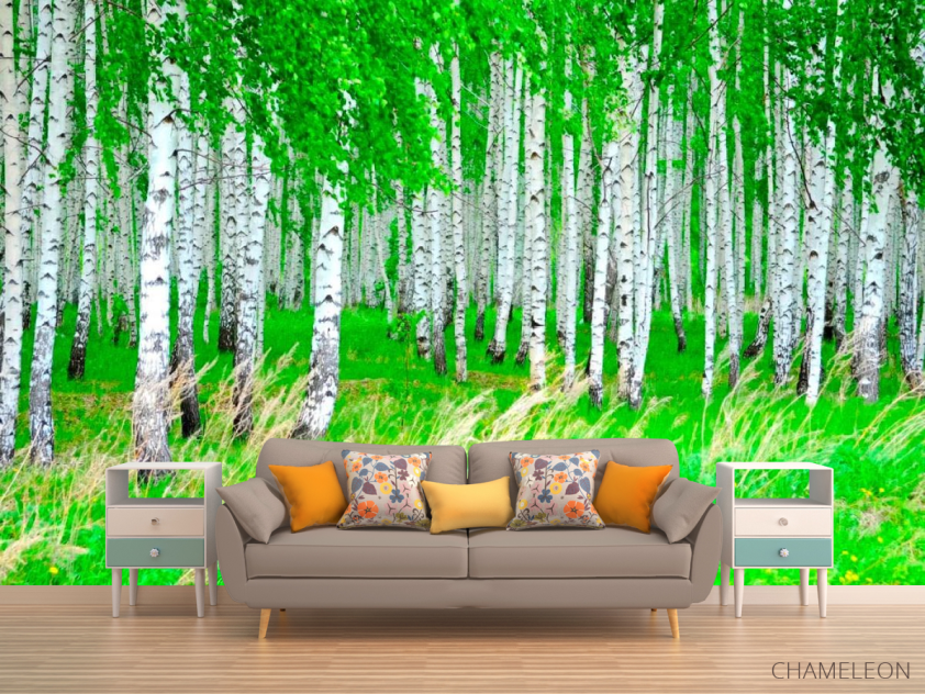 Фотообои Березовая роща, лес - 1