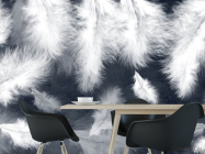 Фотошпалери біле пір'я на синьому тлі - 1