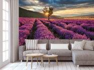 Фотообои Лавандовое поле - 3
