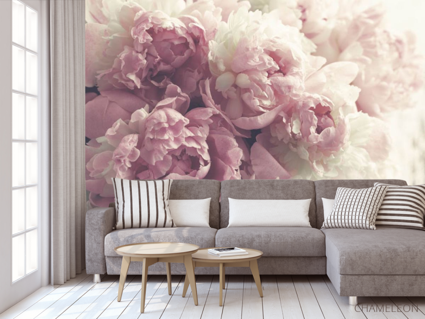 Фотообои Розовые пионы - 3