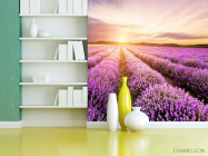 Фотошпалери Захід у лавандовом полі - 3
