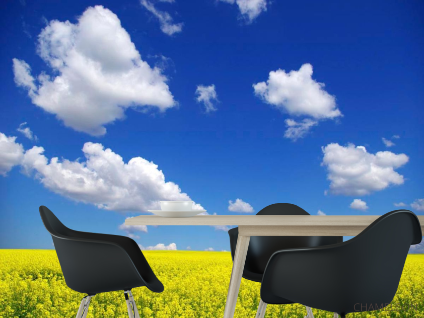 Фотошпалери Колір і небо - 1