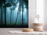 Фотошпалери ліс, туман - 2