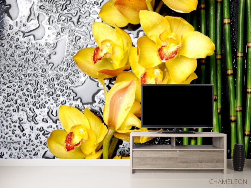 Фотообои Орхидеи желтые - 2