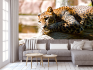 Фотообои Мечтающий гепард - 3