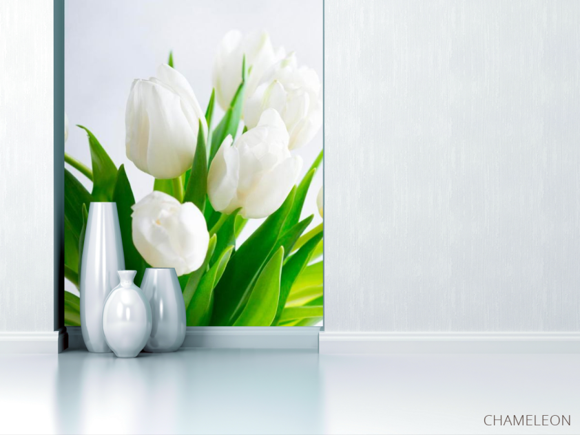 Фотообои Тюльпаны - 1