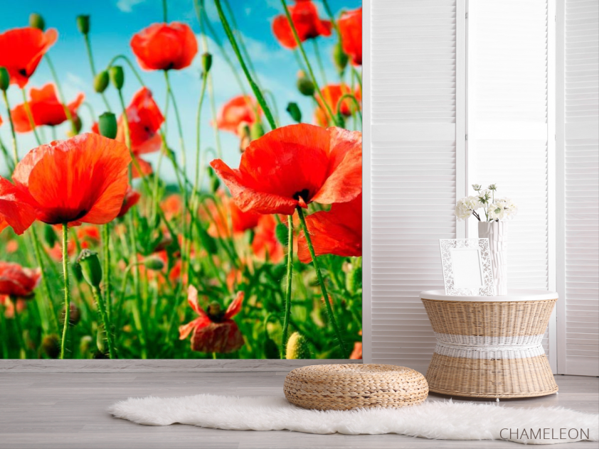 Фотошпалери Маки в літньому полі - 2