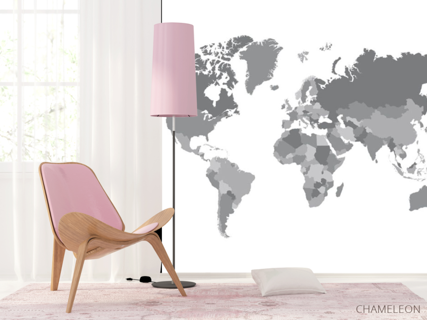 Фотошпалери Сіра карта світу - 4