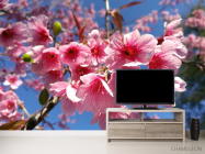 Фотообои сакура - 2