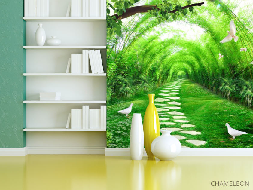 Фотошпалери лісова стежка - 3