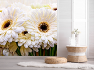 Фотошпалери кремова гербера - 2