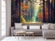 Фотообои сентябрьский лес - 3