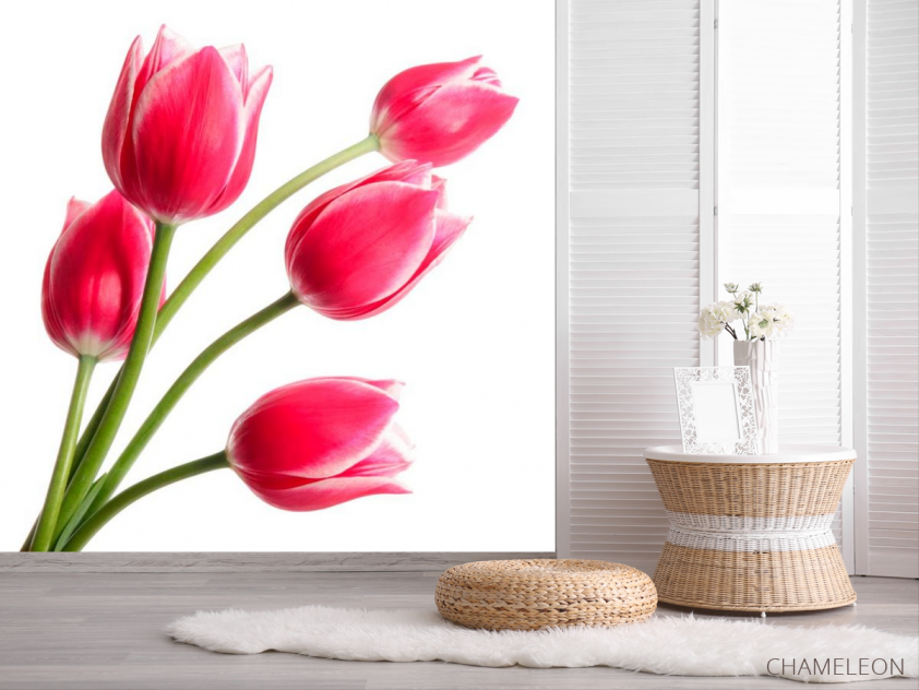 Фотообои Тюльпаны розовые - 2