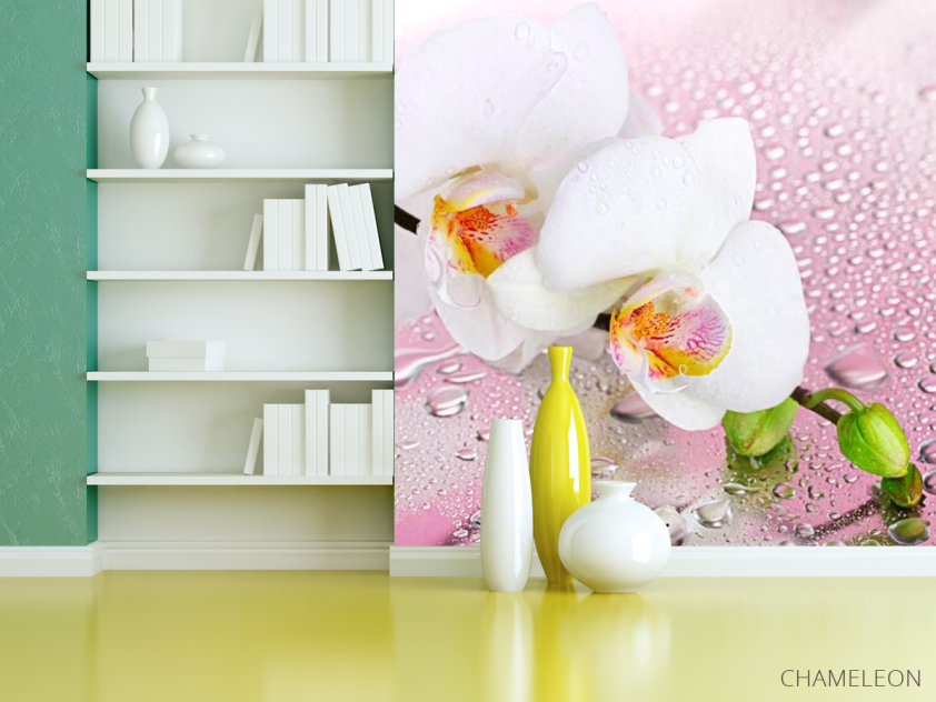 Фотошпалери Дві білі орхідеї - 3