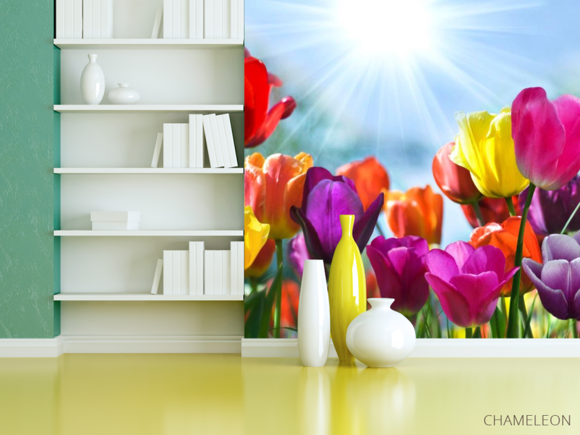 Фотошпалери Різнокольорові тюльпани - 3