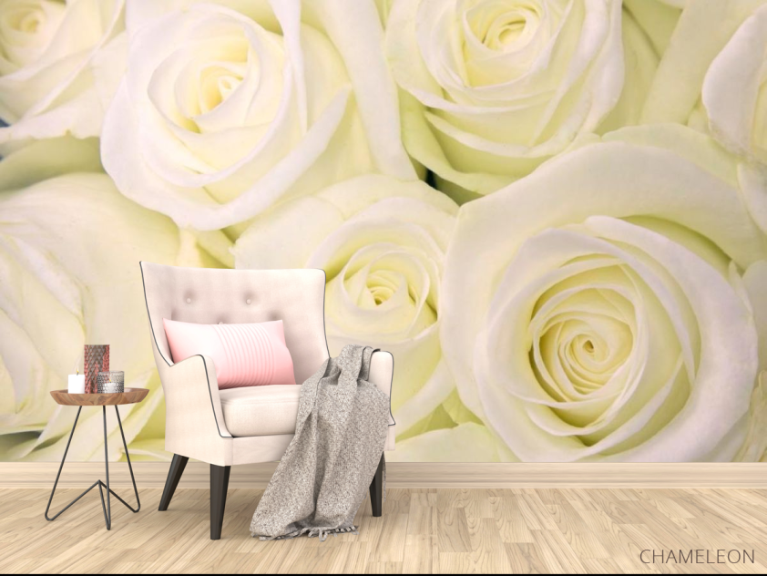 Фотообои Розы белоснежного оттенка - 4