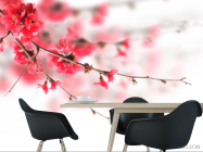 Фотошпалери Червоне квітуче дерево - 1