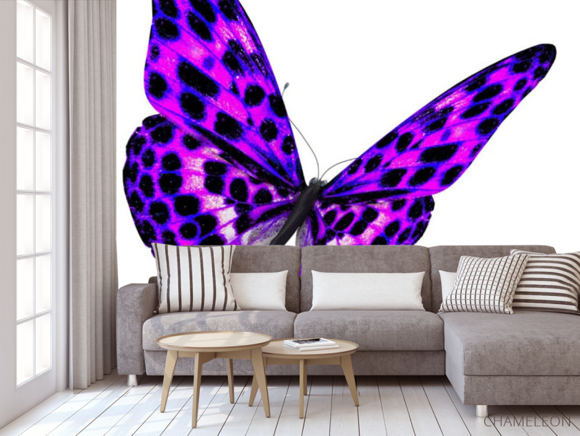 Фотообои красивая бабочка - 3