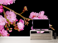 Фотообои Соцветия персика - 2