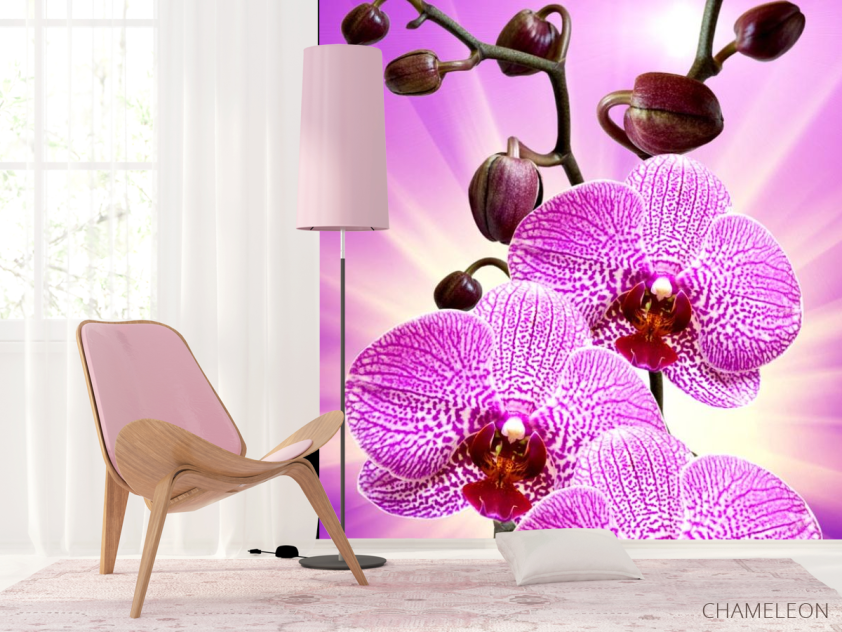 Фотошпалери леопардова орхідея з сяйвом - 4