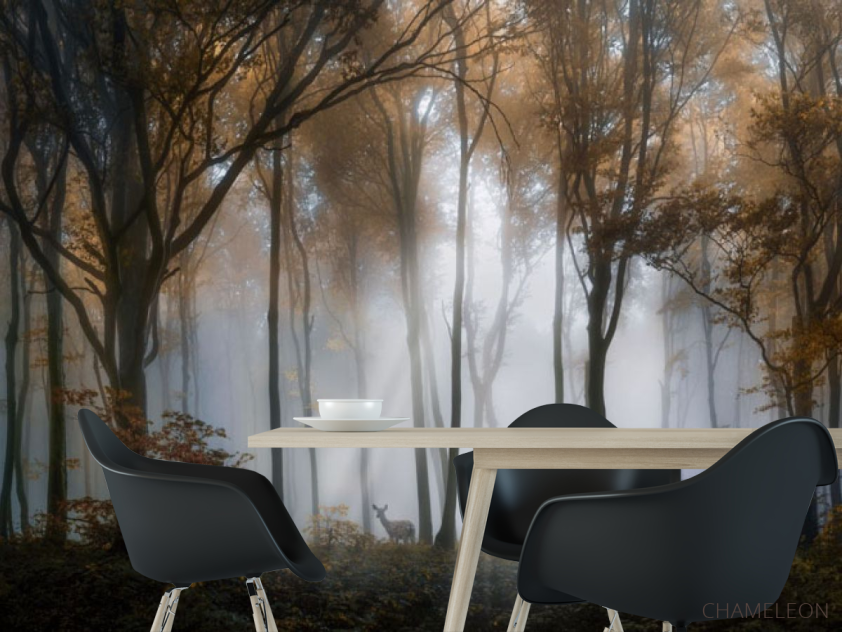 Фотошпалери туманні дерева в лісі - 1