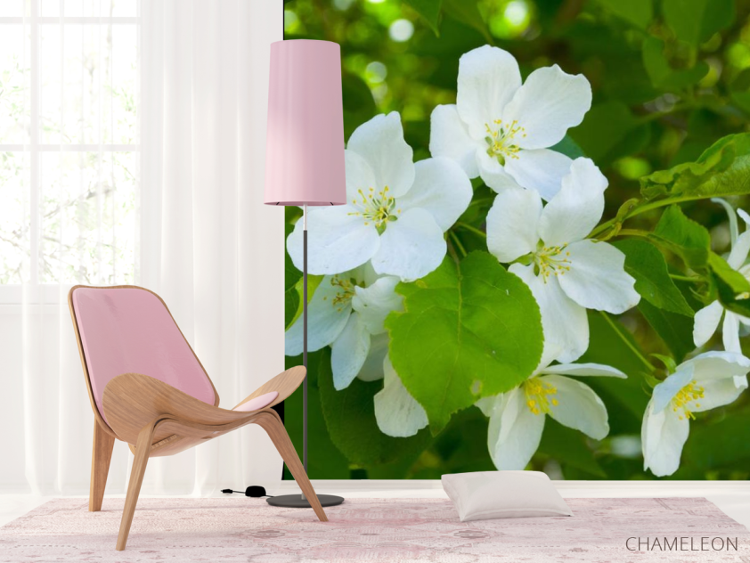 Фотошпалери Чубушник - 4