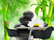 Фотообои ромашка на камнях - 1