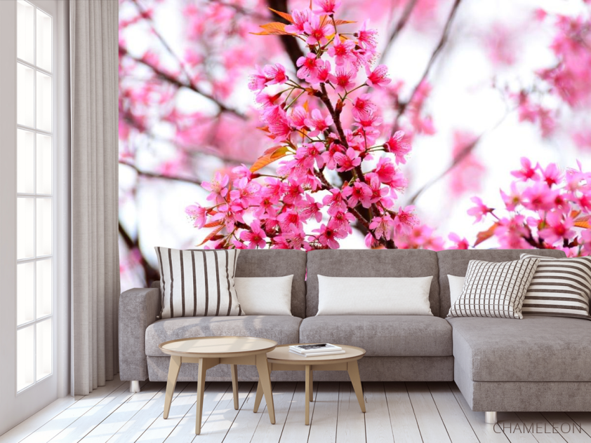 Фотообои Цветущее розовое дерево - 3