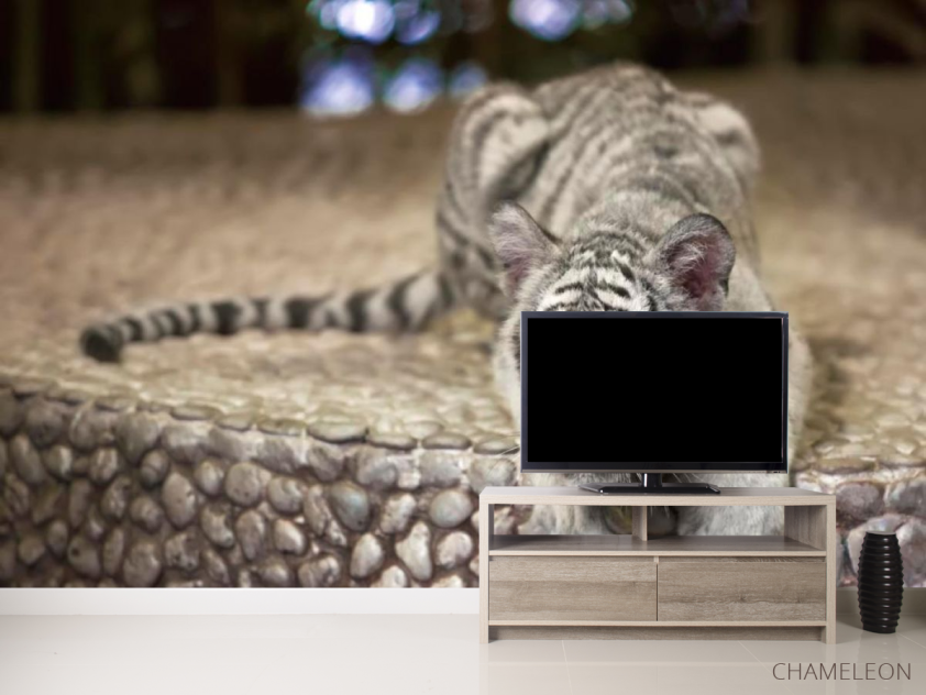 Фотообои Притаившийся тигр - 2