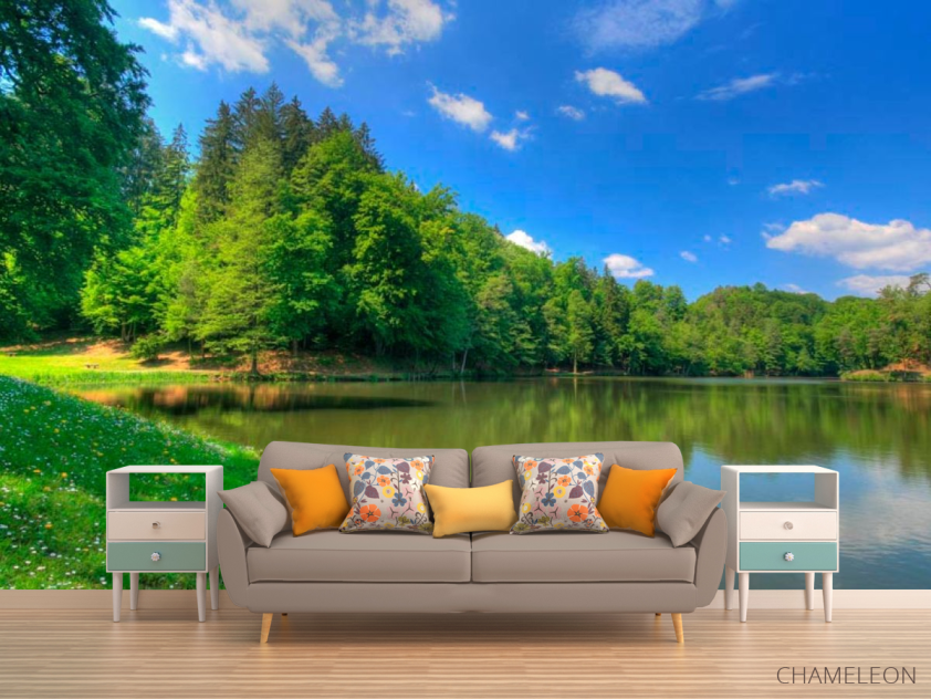 Фотообои Тихий лес - 1