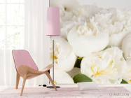 Фотошпалери білі півонії - 4