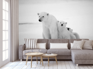Фотообои Медведи полярные - 3