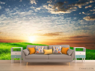 Фотообои Трава, небо - 1