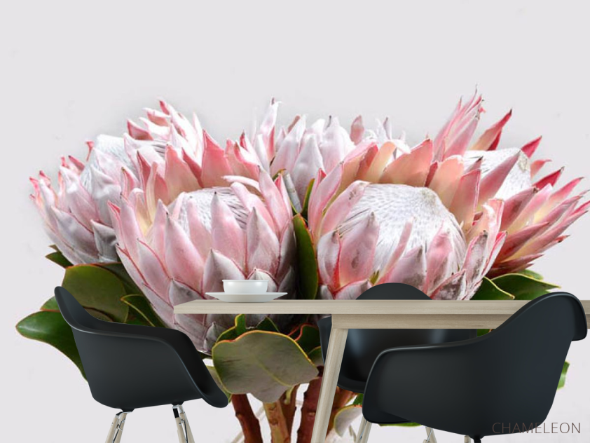 Фотошпалери Букет екзотика - 1